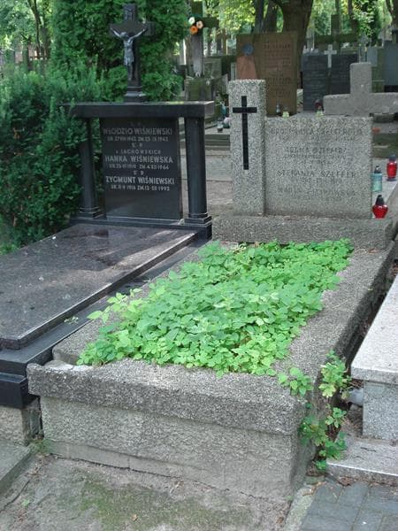 Zdjęcie grobu Maria Filipowska (1)