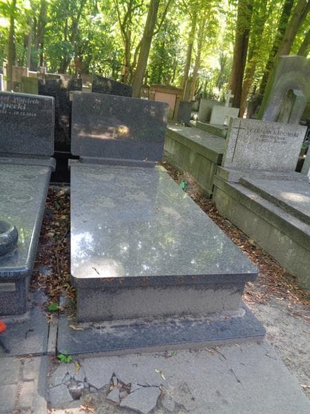 Zdjęcie grobu Janikowie (1)