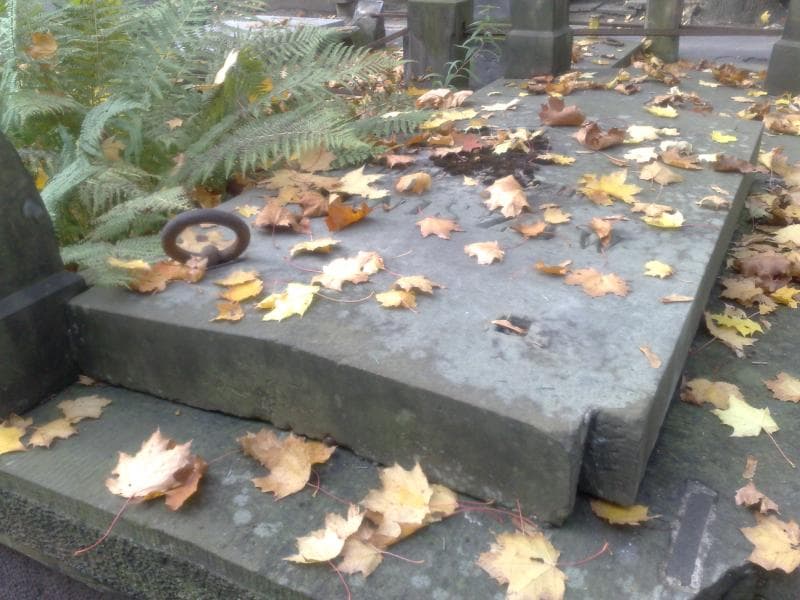 Zdjęcie grobu Heniszowie (2)
