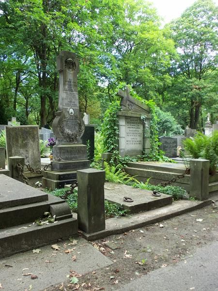 Zdjęcie grobu Teodor Jaczewski (1)