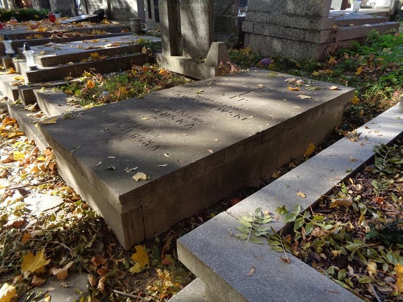 Zdjęcie grobu: Władysław Kwaśniewski