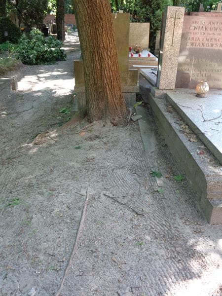 Zdjęcie grobu: Pole Grobowe