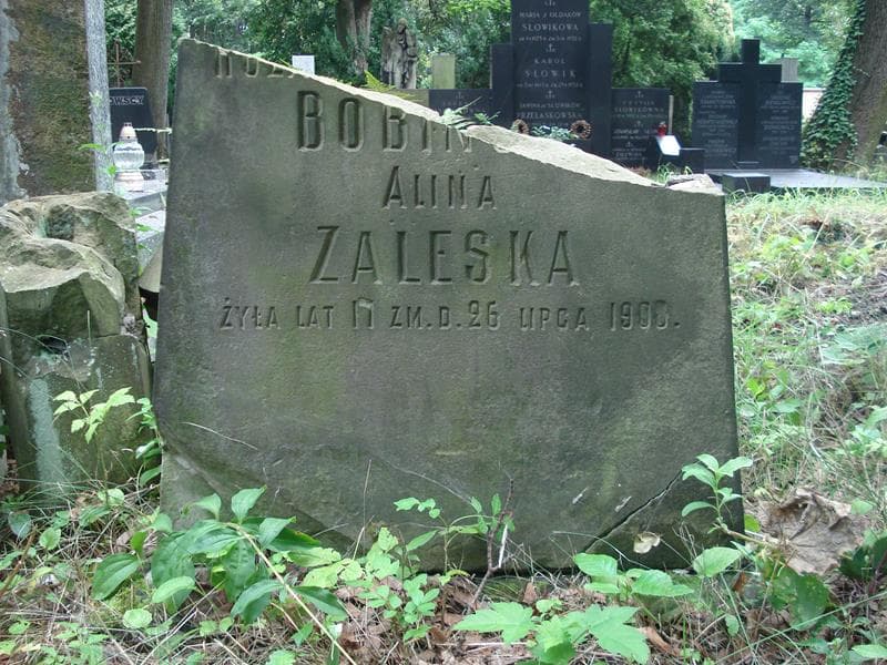 Zdjęcie grobu Apolonja Rykowska (2)