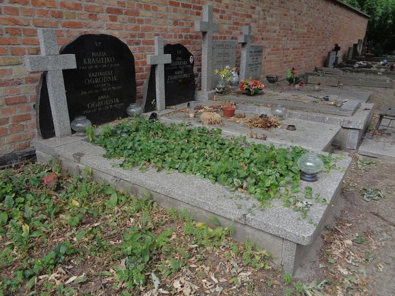 Zdjęcie grobu: Anna Ogrodnik
