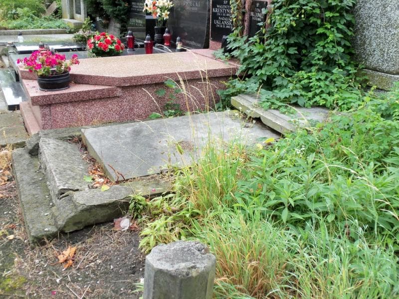 Zdjęcie grobu Antonina Zofia Drzewińska (1)