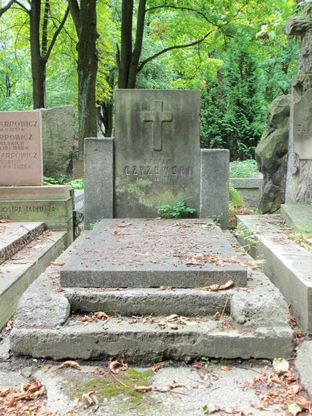 Zdjęcie grobu: Mieczysław Czyżewski