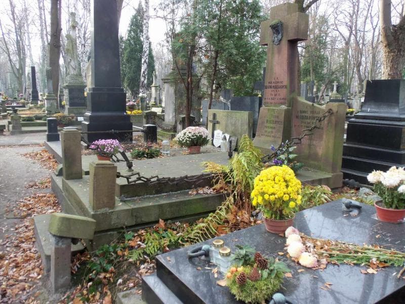 Zdjęcie grobu Kazimierz Dąbrowa - Młodzianowski (1)