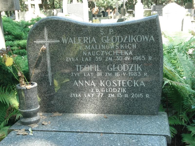Zdjęcie grobu Teofil Głodzik (1)
