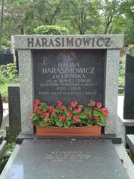 Zdjęcie grobu Halina Harasimowicz (2)
