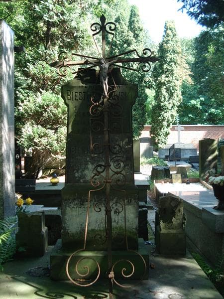 Zdjęcie grobu Stanisław Biestrzykowski (2)