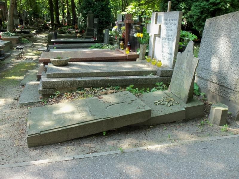 Zdjęcie grobu Ludwika Służewska (1)