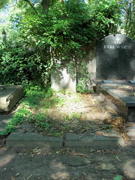 Zdjęcie grobu: Helena Fryling