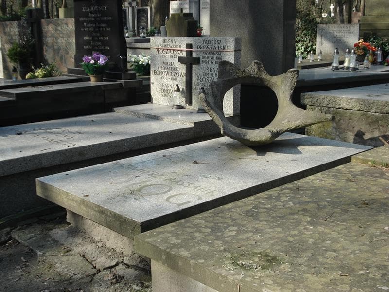 Zdjęcie grobu Kazimierz Bassalik (2)