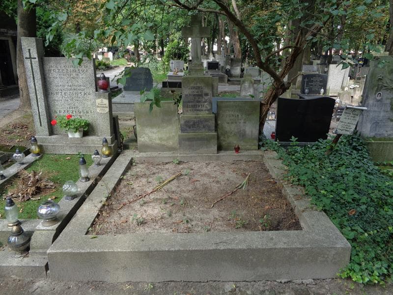Zdjęcie grobu Teofil Jankowski (1)