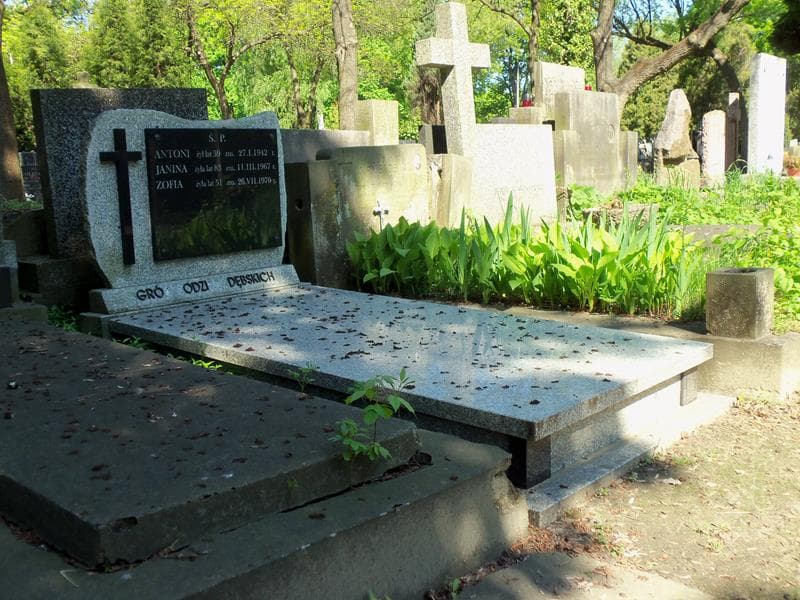 Zdjęcie grobu Antoni Dębski (1)