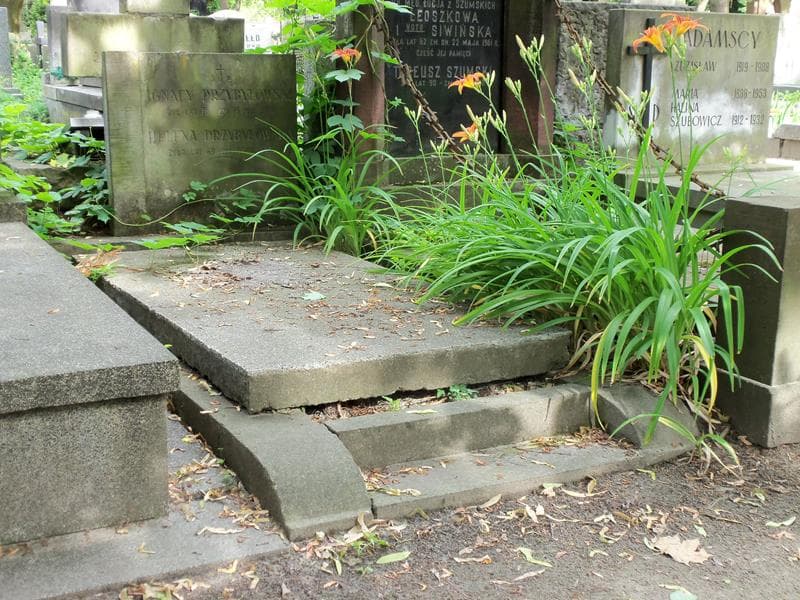 Zdjęcie grobu Ignacy Przybyłowski (1)