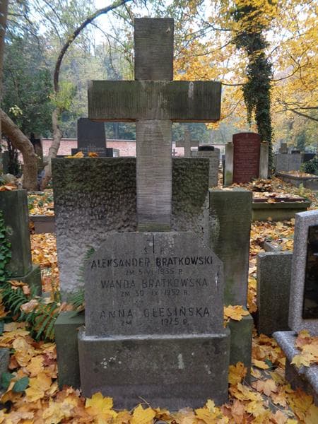 Zdjęcie grobu Anna Olesińska (2)