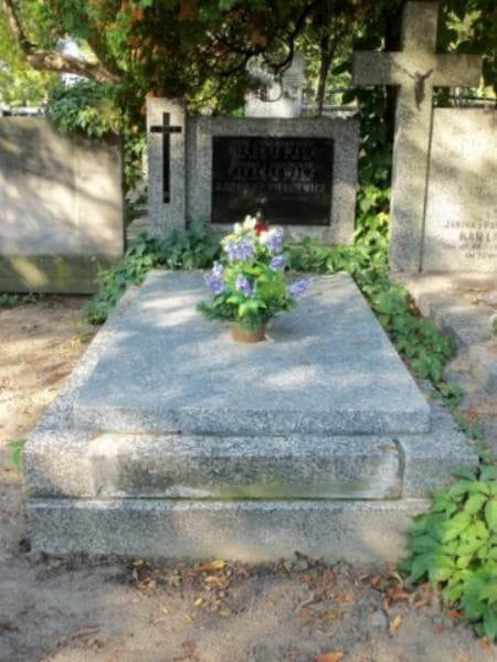 Zdjęcie grobu: Irena Pietkiewicz