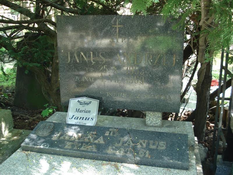Zdjęcie grobu Janina Janus (1)