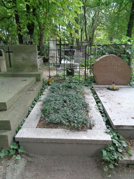 Zdjęcie grobu Aleksander Gumbrycht (1)