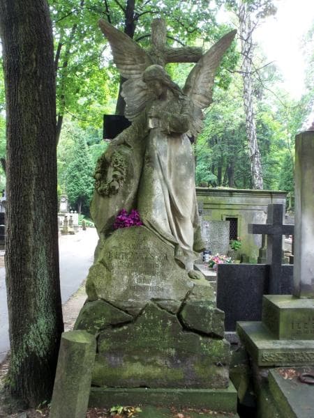 Zdjęcie grobu Aniela Burzyńska (2)