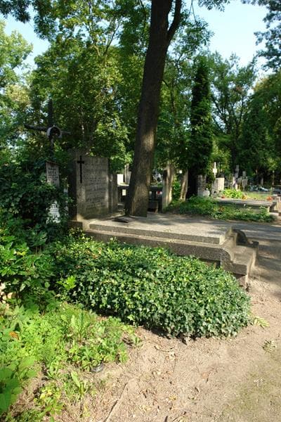 Zdjęcie grobu: Zygmuś Seta