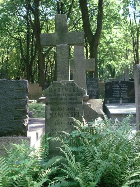 Zdjęcie grobu Franciszek Juljan Makowski (1)