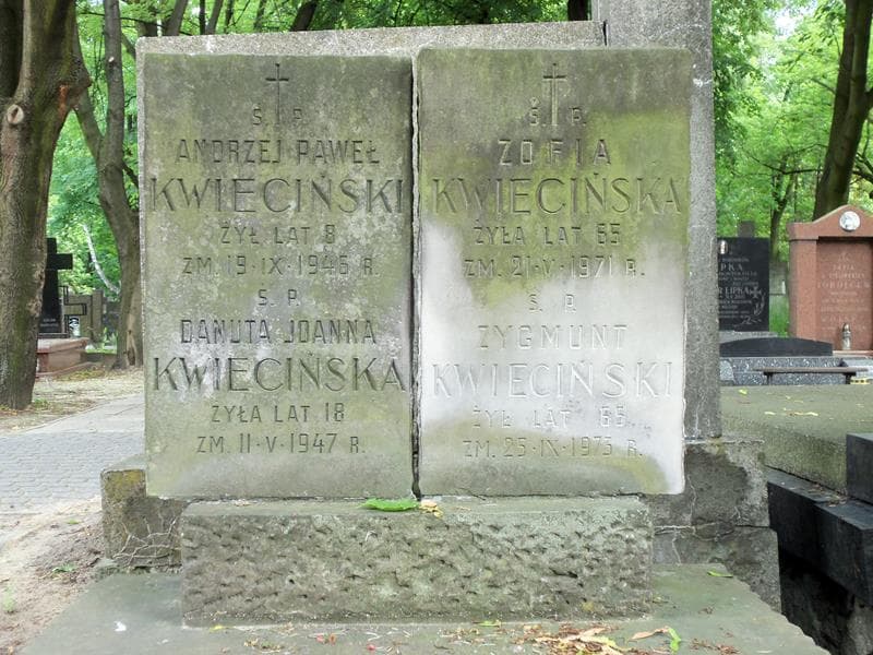 Zdjęcie grobu Zygmunt Kwieciński (2)