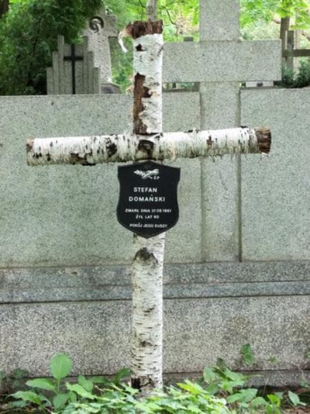 Zdjęcie grobu Stefan Domański (2)