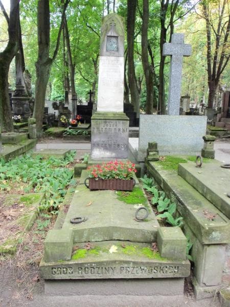 Zdjęcie grobu: Witold Przewoski