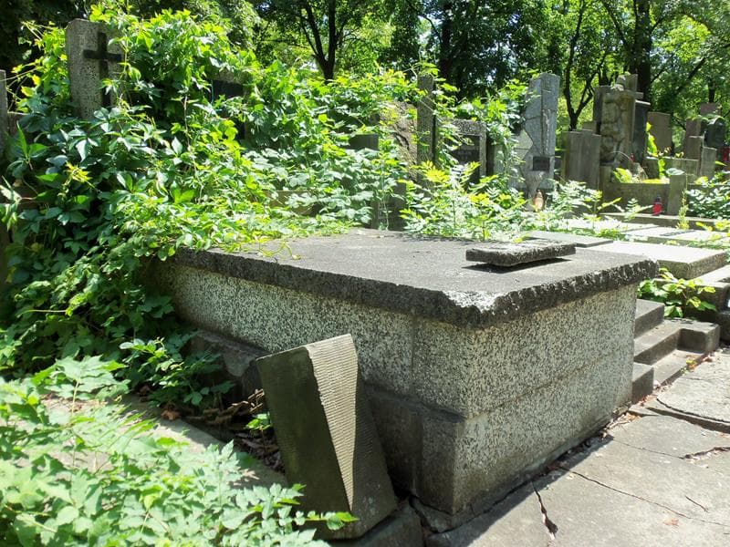 Zdjęcie grobu Urszula Pogonowska (1)