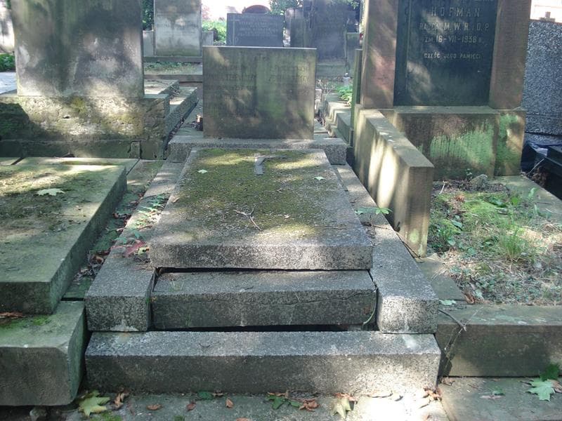 Zdjęcie grobu Władysław Terenkoczy (1)