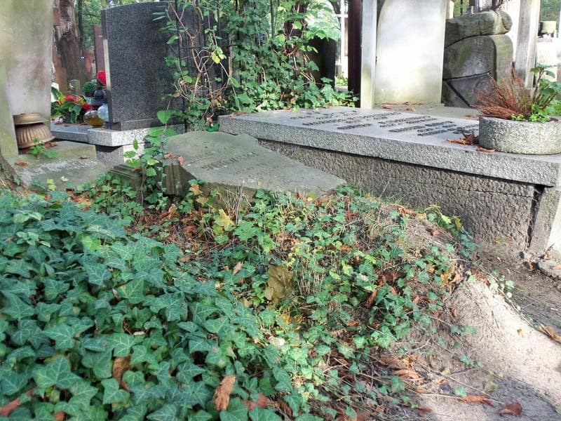 Zdjęcie grobu Stanisław .........acki (1)