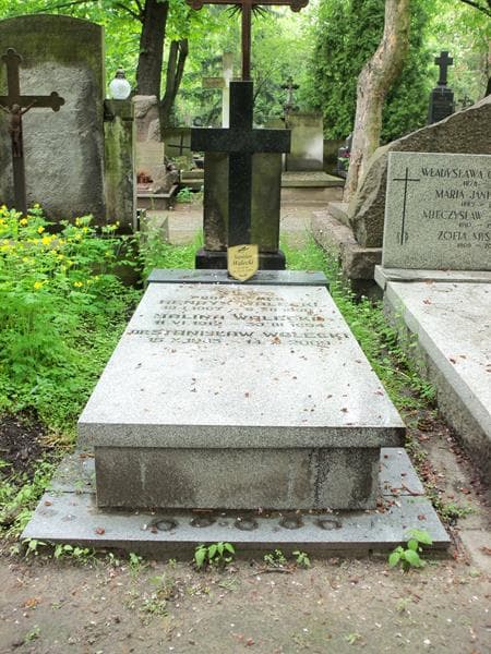 Zdjęcie grobu: Henryk Walecki