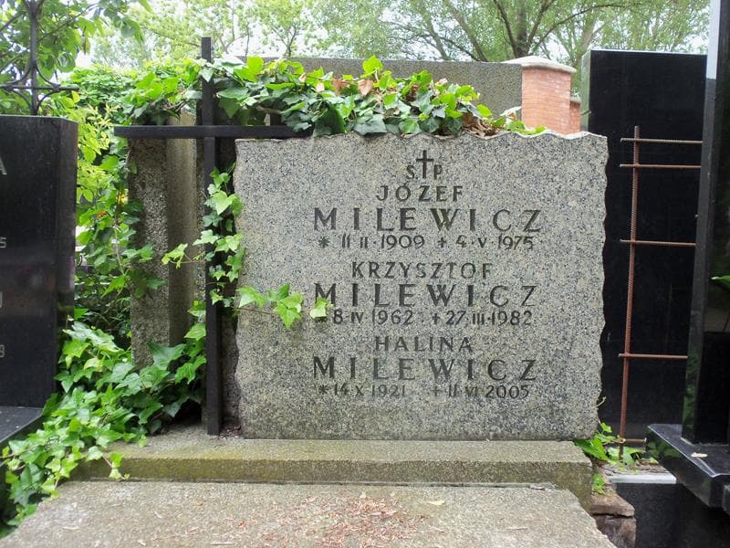 Zdjęcie grobu Halina Milewicz (2)
