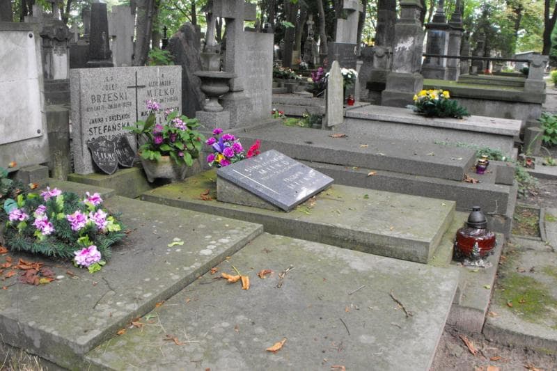 Zdjęcie grobu Józef Brzeski (2)