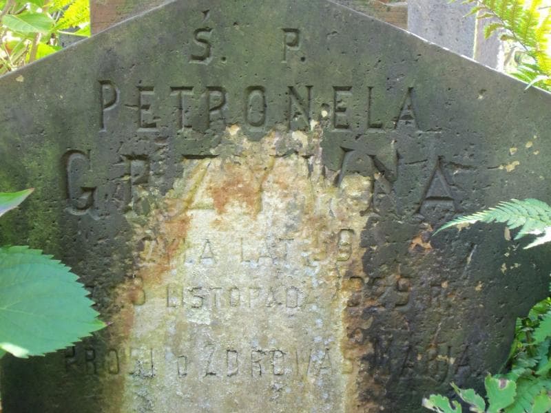 Zdjęcie grobu Petronela Grzywna (2)