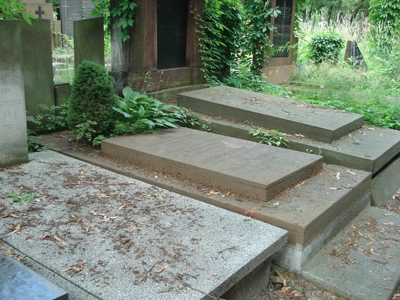 Zdjęcie grobu Janina Piękosiowa (2)