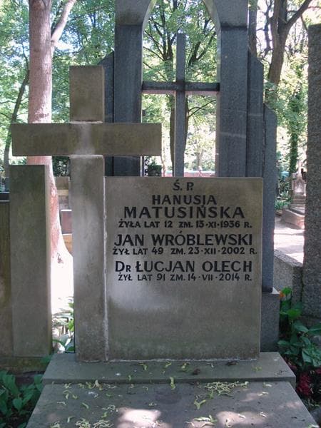 Zdjęcie grobu Jan Wróblewski (2)