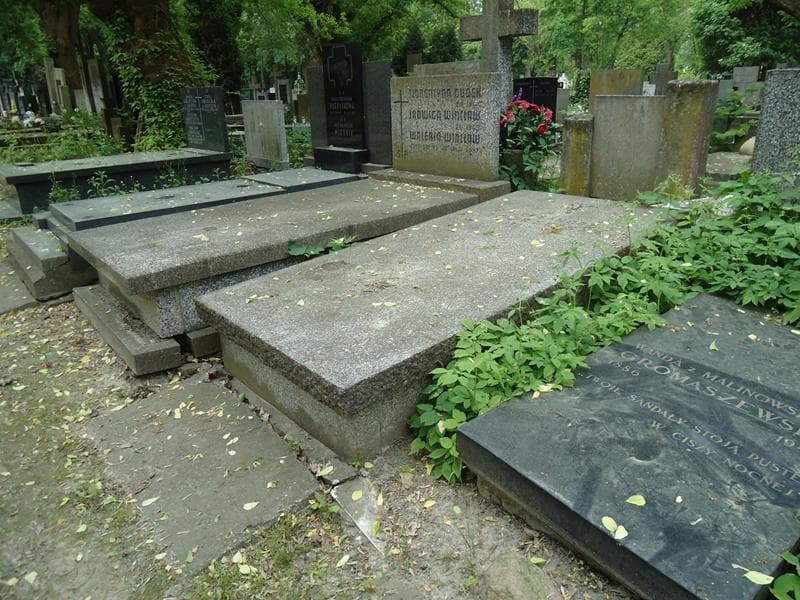 Zdjęcie grobu Aleksandra Zgorzelska (1)