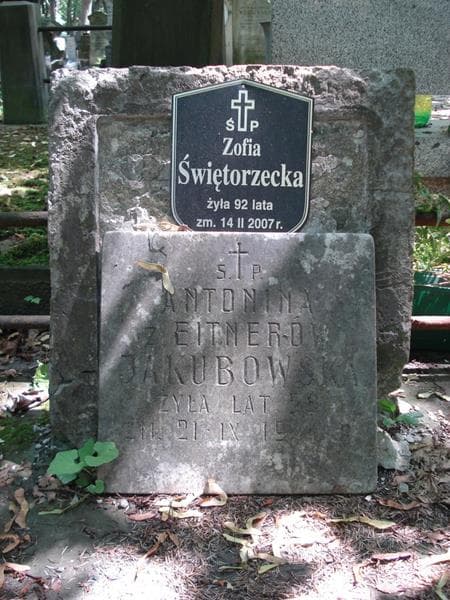 Zdjęcie grobu Antonina Jakubowska (2)