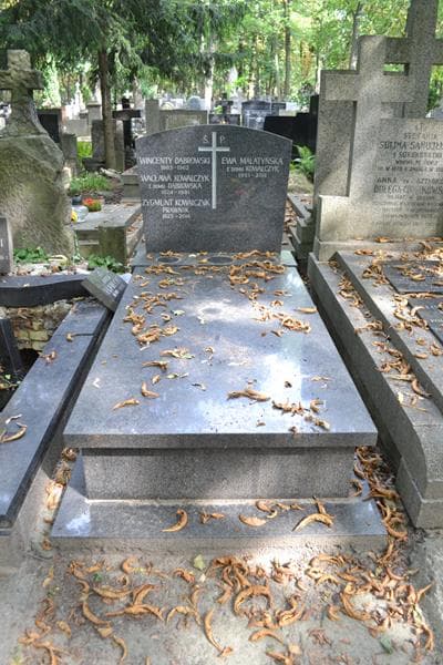 Zdjęcie grobu Wincenty Dąbrowski (1)