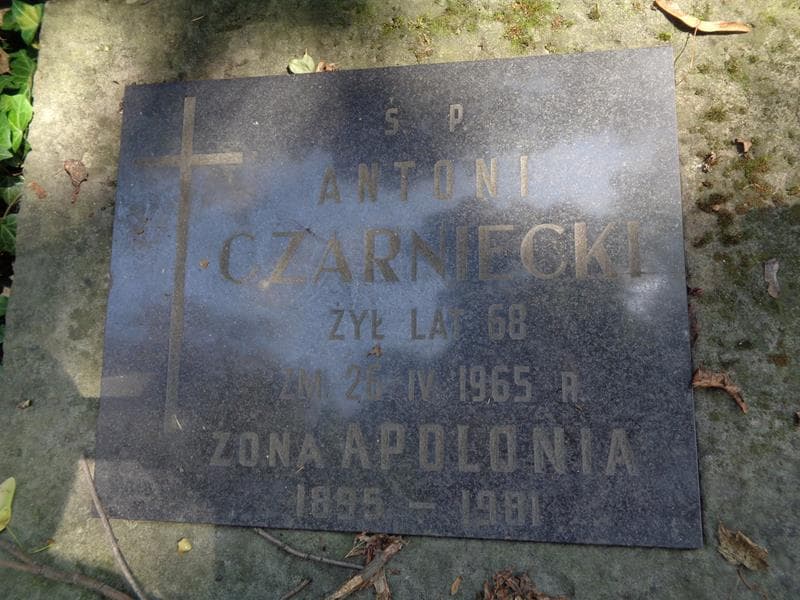 Zdjęcie grobu Antoni Czarniecki (2)
