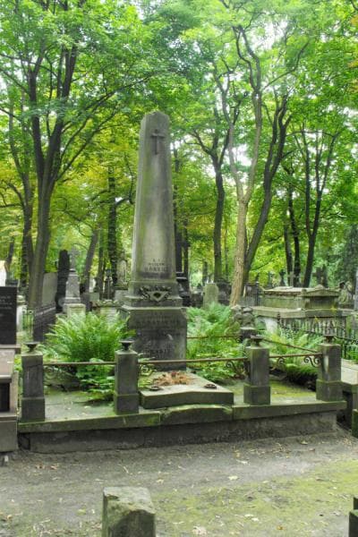 Zdjęcie grobu: Wacław Górski