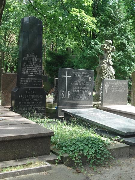 Zdjęcie grobu Rafał Walentynowicz (1)