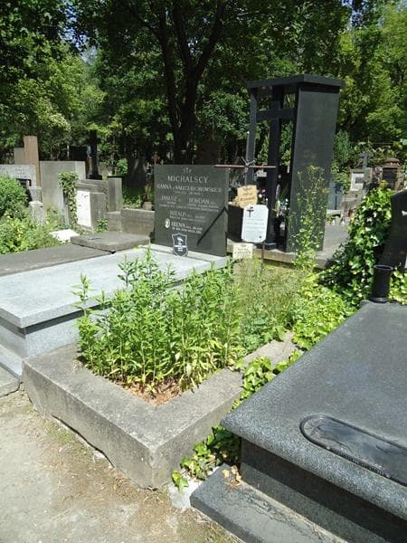 Zdjęcie grobu Elżunia Chojna (1)