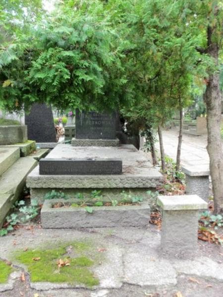Zdjęcie grobu: Stefan Jan Perkowski