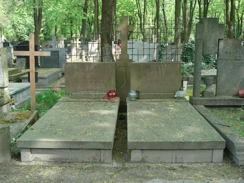 Zdjęcie grobu: Bronisława Babich