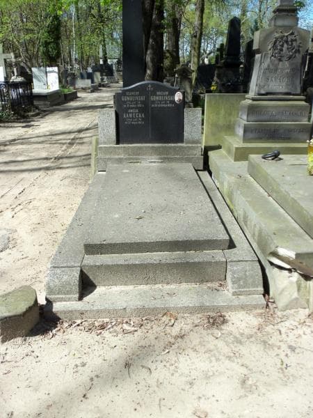 Zdjęcie grobu: Wacław Gomoliński