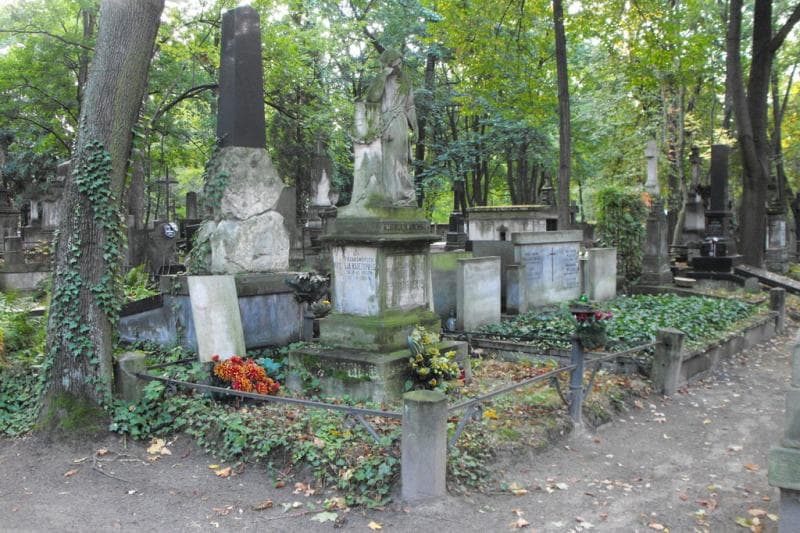 Zdjęcie grobu Wiktorja Księżopolska (1)